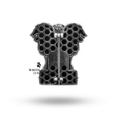 Collector’s Ashok Stambh Lion Brooch with Protective Coating in 925 Silver